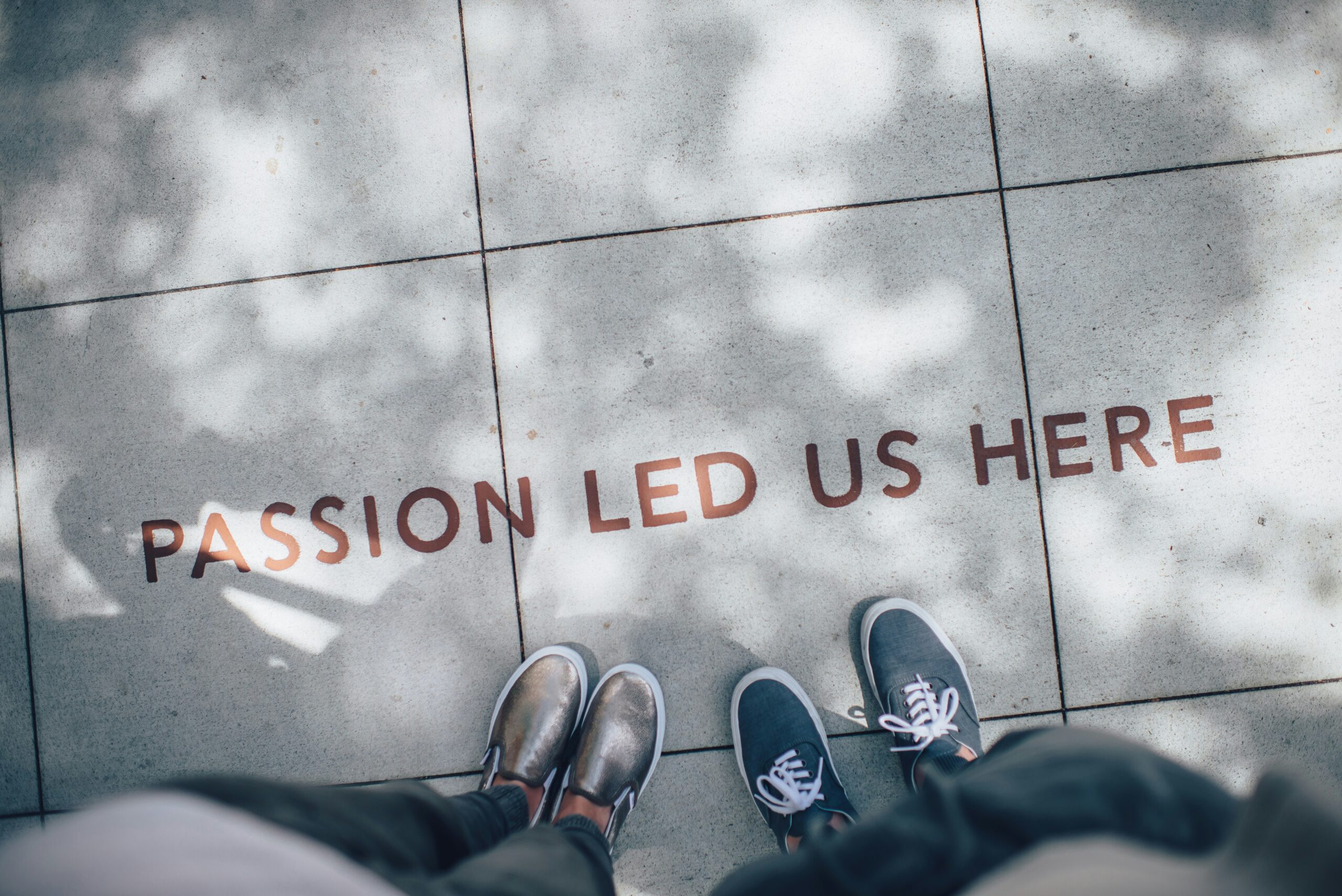 The Beginner's Guide to Small Business Branding