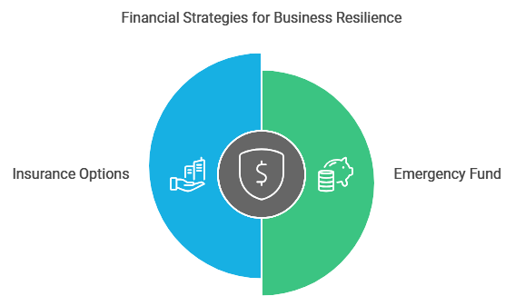 small business Financial Preparedness for Small Business Emergencies